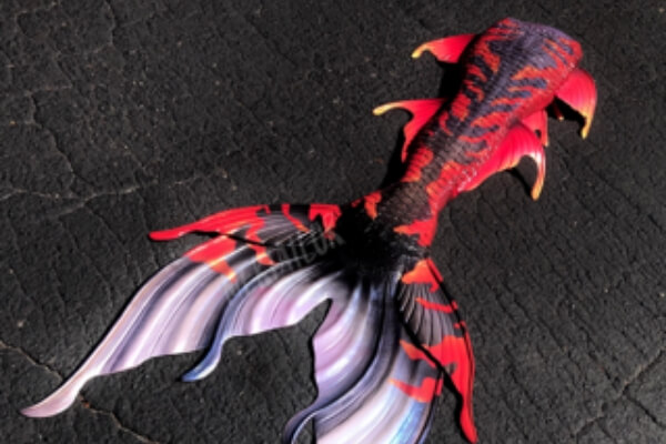 Custom Spellbound Mermaid Tails